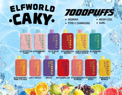 Original Elfworld Caky 7000 bouffées 14 ml batterie rechargeable préremplie E stylo à cigarettes jetable en gros Vape